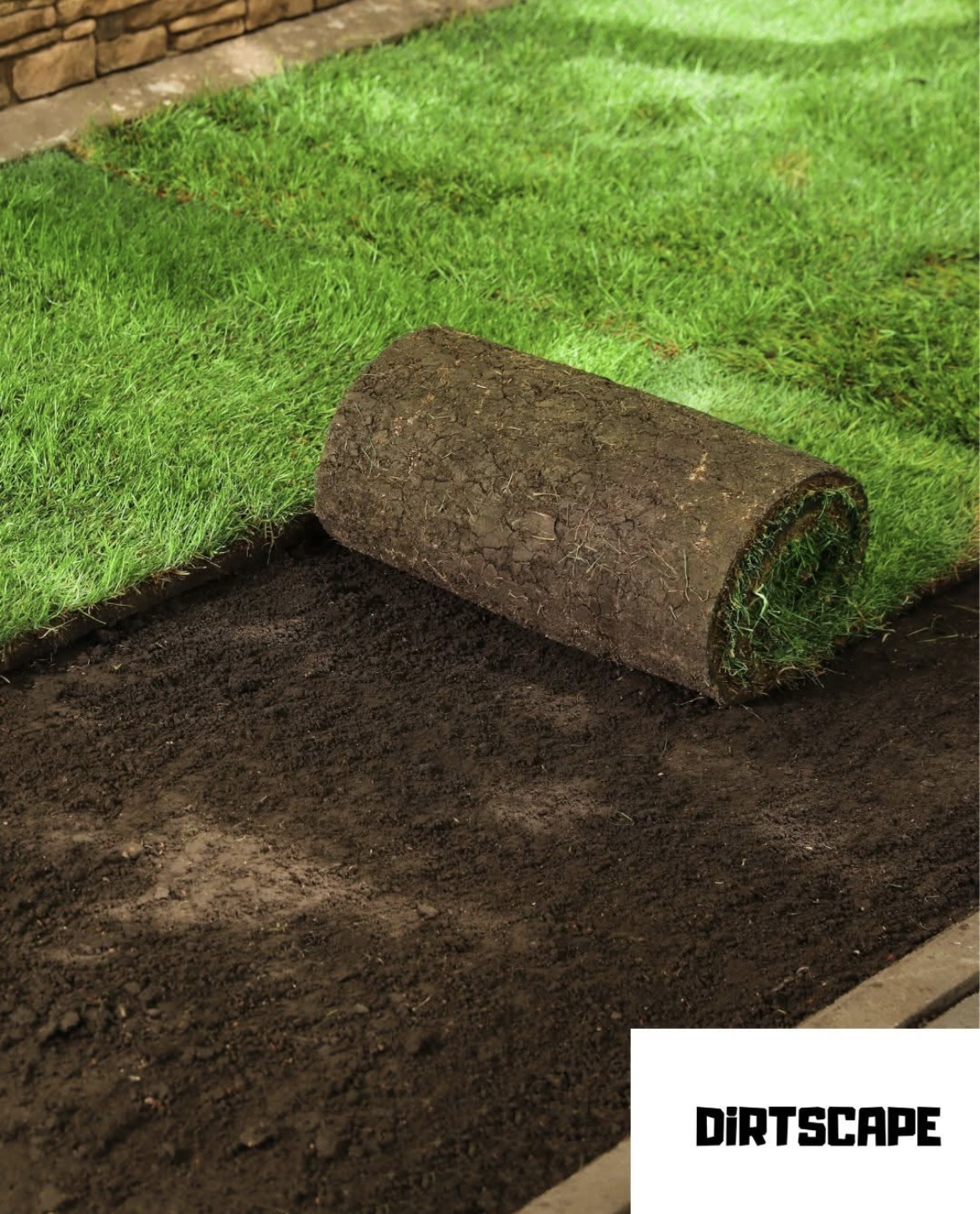 Fresh sod being rolled out over prepared soil