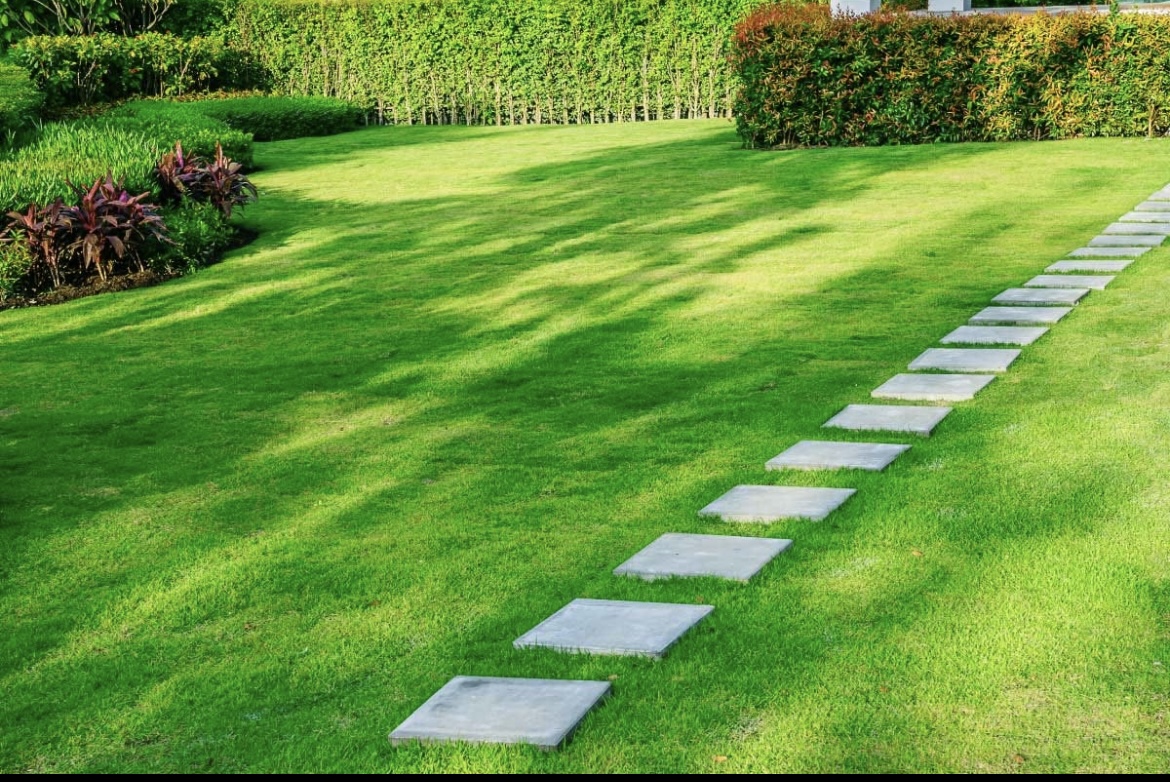 Premium stepping stone walkway with striped lawn maintenance in Sandy Springs, GA