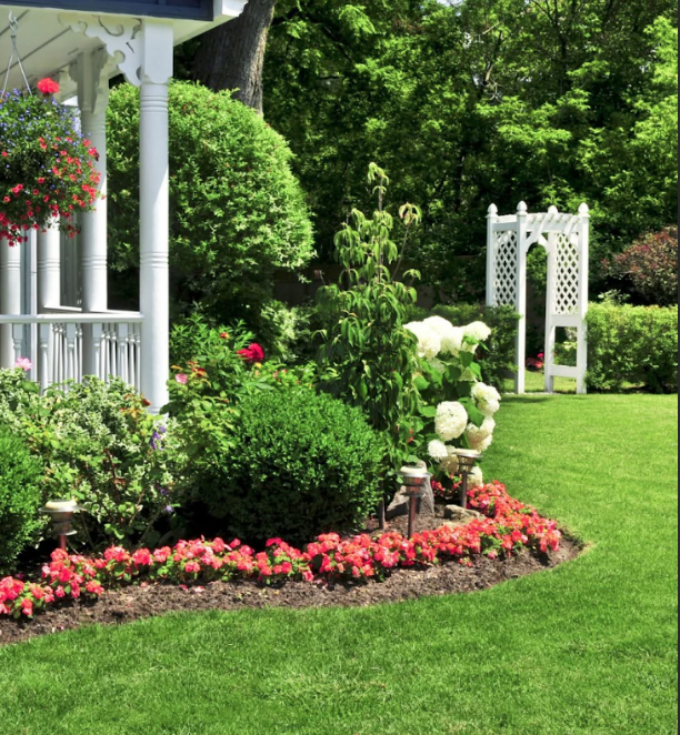 Professional lawn maintenance and landscaping